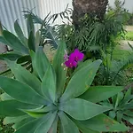 Recanto Verde