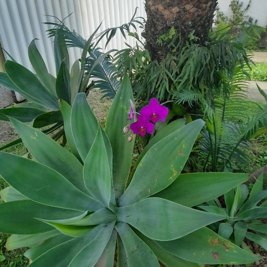 Recanto Verde Rio de Janeiro